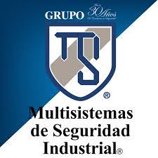 Multisistemas De Seguridad Industrial Del Valle De México S.a. De C.v.